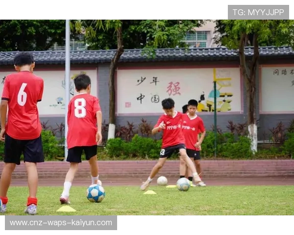 梅州降级如何影响本地区足球基础设施投入？